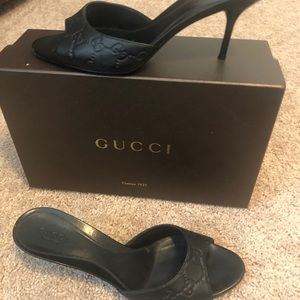 Gucci kitten heals